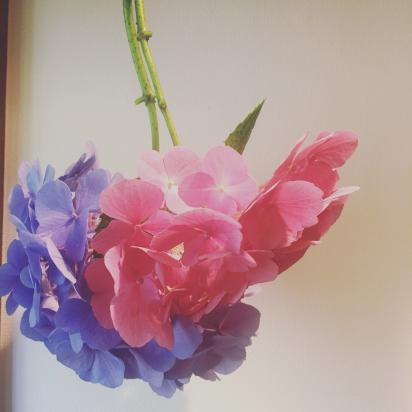 6月の紫陽花のおまじない Peer Ring なかまと話そう 女性特有のがん