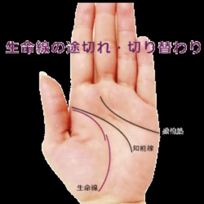 こまねこさんのダイアリー 信じるも信じないも Peer Ring なかまと話そう 女性特有のがん こまねこさんのダイアリー 信じるも信じないも Peer Ring なかまと話そう 女性特有のがん